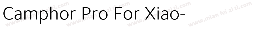 Camphor Pro For Xiao字体转换